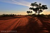 Austrálie - The Great Central Road