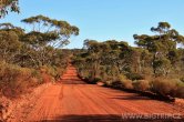 Austrálie - Kangoorlie - Boulder