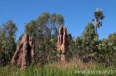 Austrálie - Lichfield NP
