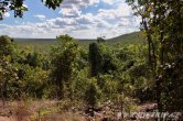 Austrálie - Lichfield NP
