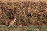 Austrálie - Kakadu NP