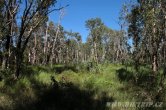 Austrálie - Kakadu NP