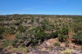 Austrálie - Kakadu NP