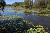 Austrálie - Kakadu NP