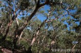 Austrálie - Kakadu NP