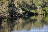 Austrálie - Kakadu NP