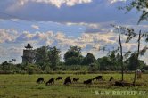 Myanmar - Mandalay