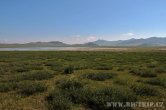 Mongolsko