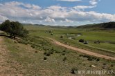 Mongolsko