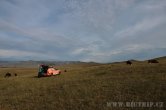 Mongolsko