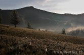 Mongolsko