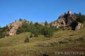 Mongolsko