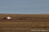 Mongolsko - poušť Gobi