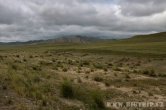 Mongolsko