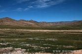 Mongolsko