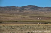 Mongolsko