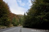 Slovensko