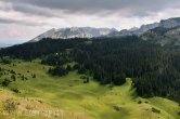 Černá Hora - NP Durmitor