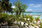 Francouzská Polynesie - Maupiti