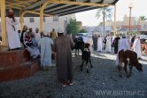 Nizwa