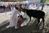 Nizwa