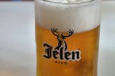 Pivo Jelen :-)