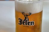 Pivo Jelen :-)