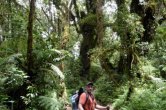 Tanzánie - Kilimanjaro - Leden 2012