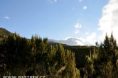 Tanzánie - Kilimanjaro - Leden 2012