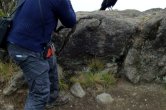 Tanzánie - Kilimanjaro - Leden 2012