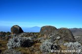 Tanzánie - Kilimanjaro - Leden 2012