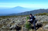 Tanzánie - Kilimanjaro - Leden 2012