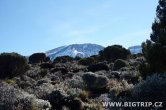 Tanzánie - Kilimanjaro - Leden 2012