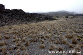 Tanzánie - Kilimanjaro - Leden 2012
