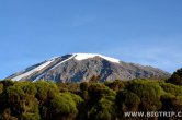 Tanzánie - Kilimanjaro - Leden 2012